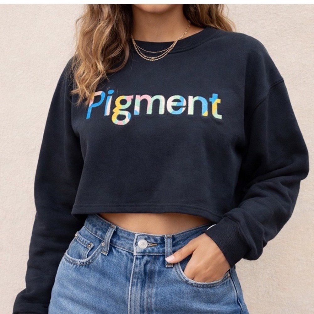 Pigment Black Crewneck Sweatshirt Embroidered Graphic Long Sleeve V4 Art Top